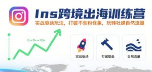 Ins跨境出海训练营,实战驱动玩法,打破不涨粉怪象,玩转社媒自然流量-项目资源库