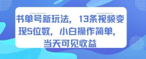 书单号新玩法，13条视频变现5位数，小白操作简单，当天可见收益-项目资源库