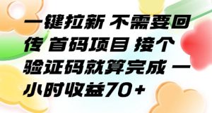 一键拉新 不需要回传 首码项目 接个验证码就算完成 一小时收益70+【揭秘】-项目资源库