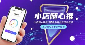 小店随心推微付费撬动自然流投手教学,小店随心推手把手教学-项目资源库