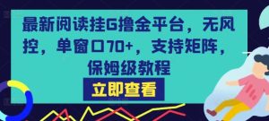 最新阅读挂G撸金平台，无风控，单窗口70+，支持矩阵，保姆级教程【揭秘】-项目资源库