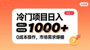 在小红书上发现个冷门路子，需求不小，零成本操作，每天能有1k进账-项目资源库