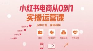 小红书电商从0到1实操运营课,从零开始,简单易学-项目资源库