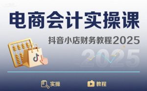 电商会计实操课-抖音小店财务教程2025-项目资源库