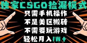 CSGO自动捡漏项目,最新独家玩法,不是美区搬砖,不需要了解和玩游戏,新手小白轻松月入1W+【揭秘】-项目资源库