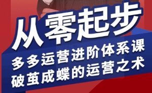 拼多多运营进阶系统课,从零起步,多多运营进阶体系课,破茧成蝶的运营之术-项目资源库