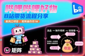 哔哩哔哩好物,B站带货流程分享,新风口项目,矩阵操作月1W-项目资源库