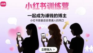 小红书训练营一起成为賺钱的博主,小红书是最适合普通人的风口-项目资源库