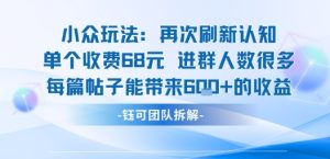 小众玩法再次刷新认知单个收费68米进群人数很多每篇帖子能带来6张的收益-项目资源库
