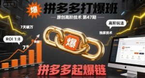 拼多多打爆班原创高阶技术第47期,拼多多起爆链-项目资源库