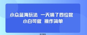 小众蓝海玩法 一天搞了四位数 小白可做 操作简单-项目资源库