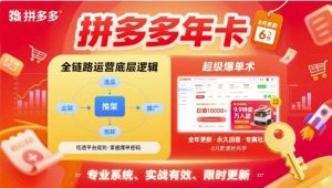 拼多多年卡【8月更新6节】拼多多全链路运营底层逻辑,超级爆单术-项目资源库