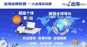 出海去孵化器,一人出海实战课,超级个体第1站,解锁全球增长-项目资源库