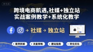 跨境电商新机遇，社媒+独立站，实战案例教学+系统化教学-项目资源库