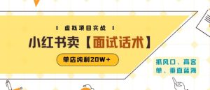小红书虚拟项目掘金,卖面试话术资料,单店纯利20W+(附爆款笔记制作方法)-项目资源库