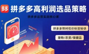 拼多多选品暴利技术实战课,拼多多高利润选品策略,拼多多限时低价标签秘诀-项目资源库