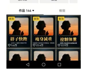 超高变现的短视频减肥细分赛道，减肥账号抖音实战训练营-项目资源库