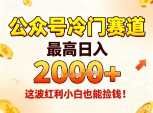 公众号冷门赛道，最高日入1k+，这波红利小白也能捡钱！-项目资源库