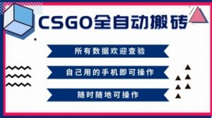 CSGO全自动搬砖，年底钱回家好项目，当天可拿到结果，新手小白轻松月入1W+【揭秘】-项目资源库