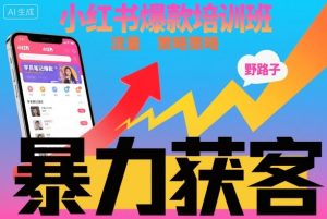 小红书爆款培训班,小红书获客野路子流量打法,暴力持续获客-项目资源库