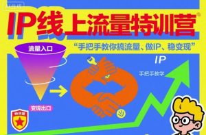 IP线上流量特训营,手把手教你搞流量、做IP、稳变现-项目资源库