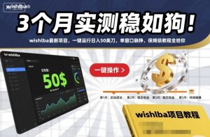 3个月实测稳如狗!wishlba最新项目,一键运行日入50美刀,单窗口躺挣,保姆级教程全给你【揭秘】-项目资源库