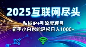 2025网创尽头王炸项目!私域IP+精准引流,新手小白在家躺賺日入1k,零经验也能上手【揭秘】-项目资源库