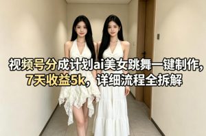 视频号分成计划ai美女跳舞一键制作，7天收益5k，详细流程全拆解-项目资源库