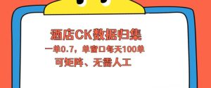 上班也能玩的酒店CK数据归集，一单0.7单窗口每天可做100单，一个人就能矩阵操作【揭秘】-项目资源库
