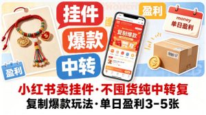 小红书卖挂件，不囤货纯中转复制爆款玩法，单日盈利3-5张-项目资源库