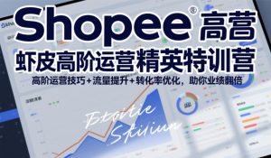 Shopee虾皮高阶运营精英特训营,高阶运营技巧+流量提升+转化率优化,助你业绩翻倍(更新26年7月)-项目资源库