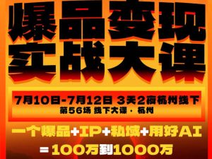 爆品变现实战大课,从爆品,到流量,到成交,一个爆品+IP+私域+用好AI=100W到1000W(7月10-12日)-项目资源库