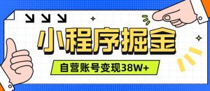 微信小程序掘金，团队自营小程序累计变现38W+，稳定运营三年，一部手机即可操作【揭秘】-项目资源库