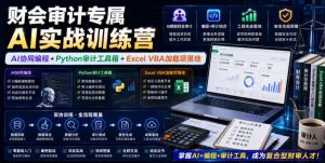 财会审计专属AI实战训练营|AI协同编程+Python审计工具箱+Excel VBA加载项落地(更新0710)-项目资源库