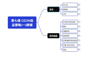2026最新OZON全流程运营实操跨境电商平台教程,OZON全流程一站式系统学习必修课,从开店到跟卖到精铺-项目资源库