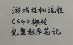 游戏挂G全流程笔记分享,CSGO游戏搬砖,小白看了当天学会见收益【揭秘】-项目资源库