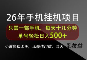 长期稳定可做,只需一部手机!单号轻松日入500+,不搞套路,只讲干货!【揭秘】-项目资源库