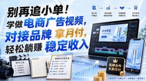 别再追小单!学做电商广告视频,对接品牌拿月付,轻松躺賺稳定收入【原创双语字幕】-项目资源库