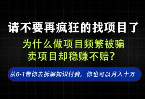 找项目?别傻了!卖项目才是真的一本万利!看完你全都懂了【揭秘】-项目资源库