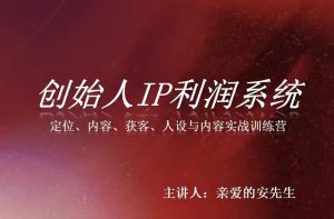 创始人IP利润系统8月训练营，定位、内容、获客、人设与内容实战训练营-项目资源库