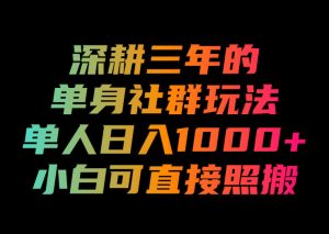 深耕三年的单身社群玩法,单人日入1000+,小白可直接照搬!【揭秘】-项目资源库
