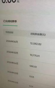 汽水音乐人项目,暴力自然流打法,不需要你会唱歌、会写歌,用AI生成上传,靠自然流賺播放收益-项目资源库