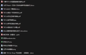 TikTok从0-1实操资料包:养号SOP+爆款公式+投流手册,新手30天可起号变现,抓住TikTok流量红利-项目资源库