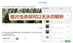 太香了！这款千问视频/图片去水印神器，一键搞定烦人水印，本地完全免费，浏览器拓展插件-项目资源库