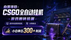 自营项目:CSGO全自动挂G,游戏搬砖捡漏,软件科技简单易用,长期稳定,小白单日300+利润【揭秘】-项目资源库