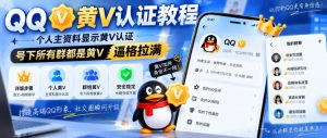 QQ黄V认证教程，个人主资料显示黄V认证，号下所有群都是黄V，逼格拉满-项目资源库