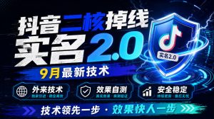 抖音二核掉线十名2.0，9月最新技术，外来技术，效果自测-项目资源库
