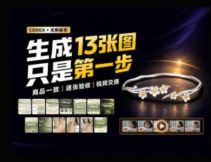 一张商品图，跑出13张电商图和15秒视频方案：这套Skill到底怎么工作？-项目资源库