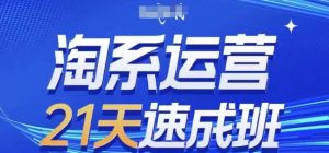 淘系运营21天速成班，0基础轻松搞定淘系运营，不做假把式，快速复制落地(更新26年8月)-项目资源库