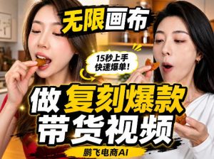 无限画布复刻二创带货视频搭建教学，实操教学，一键复刻爆款带货视频-项目资源库